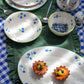 Dolce Berry Ceramic collection hand painted blueberries 