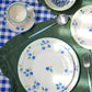 Dolce Berry Ceramic dinner plates  hand painted blueberries